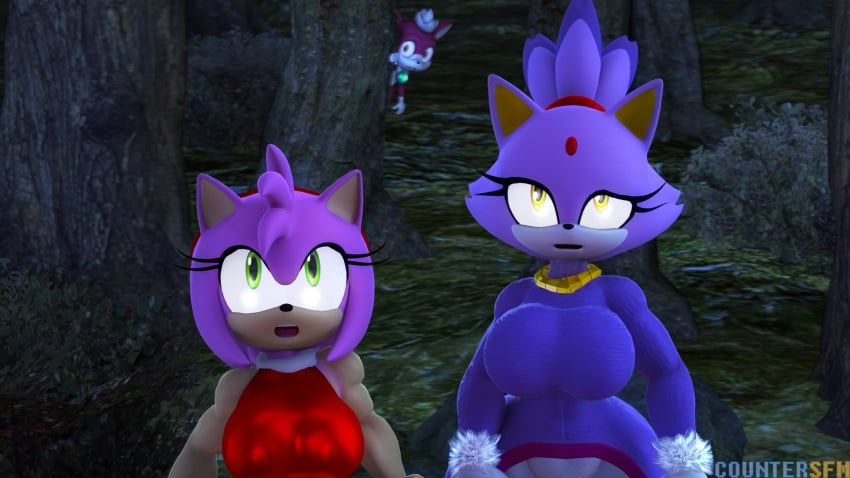 3d amy_rose blaze_the_cat chip_(sonic) countersfm sega sonic_(series) sonic_the_hedgehog_(series) sonic_unleashed