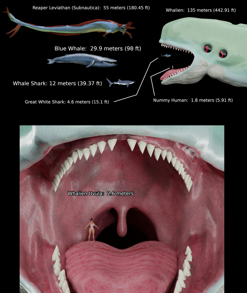 absurd_res ambiguous_gender baleen_whale cetacean chart comparing female female_prey feral feral_pred fish great_white_shark group hi_res human lamnid lamniform mammal marine mike37 reaper_leviathan_(subnautica) shark size_chart size_difference uvula vore whalien