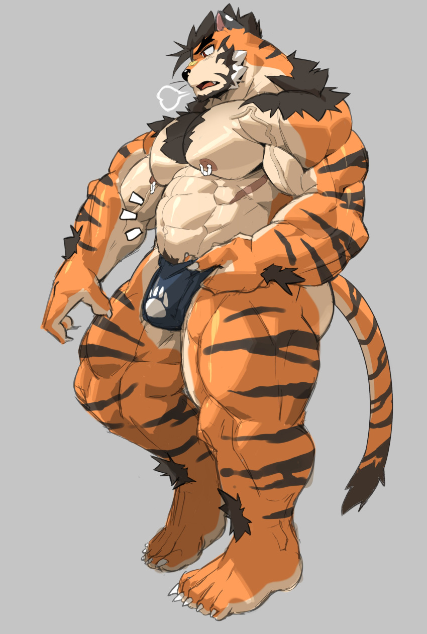 2023 abs absurd_res anthro arm_hair ashael ashendawger barazoku barefoot beard biceps big_bulge big_muscles body_hair breath bulge chest_hair claws clothed clothing deltoids emanata eyebrows facial_hair feet felid fur grey_background hair hi_res huge_muscles huge_thighs kemono leg_hair male mammal musclegut muscular muscular_anthro muscular_male navel nipple_piercing nipple_ring nipples open_mouth pantherine pecs piercing plantigrade pubes quads ring_piercing serratus shoulder_hair simple_background solo standing thick_thighs thong thong_only tiger topless topless_anthro topless_male tuft underwear underwear_only vein veiny_muscles