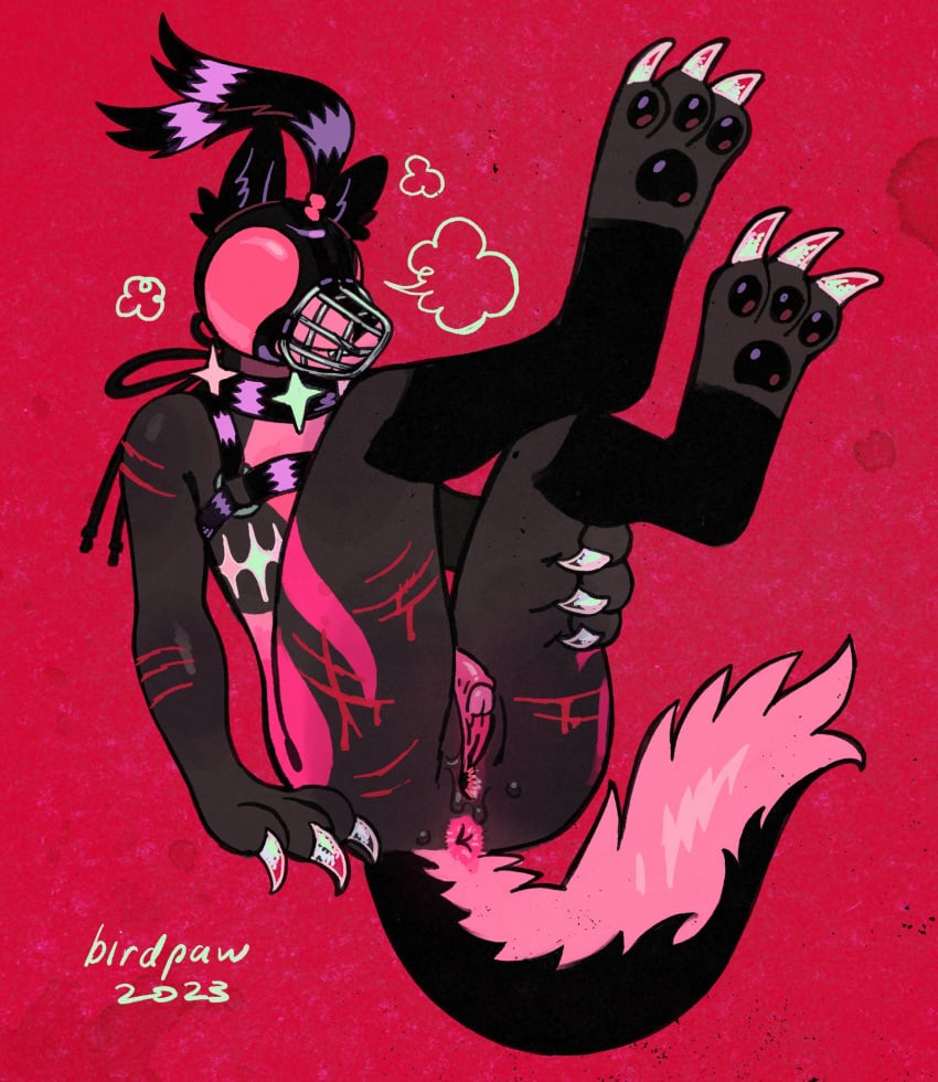 1boy 2023 3_fingers 3_toes andromorph anthro anus arm_scar artist_name birdpaw_(artist) black_body black_ears black_fur black_harness black_pawpads black_tail blindfold blood bodily_fluids breath canid canine claws clitoris cuntboy digital_media_(artwork) ear_tuft enlarged_clitoris falconry_hood feet fingers full-length_portrait fur genitals glistening glistening_pawpads grey_body grey_fur hand_on_leg hand_on_own_leg harness hi_res hood intersex leg_scar legs_up male_only mammal mastectomy_scar multicolored_body multicolored_fur muzzle_(object) muzzled pawpads pink_anus pink_body pink_fur pink_pussy pink_tail portrait pussy red_background scar simple_background solo solo_male tail tail_tuft three-quarter_view toes tuft two_tone_body two_tone_fur two_tone_tail wounded