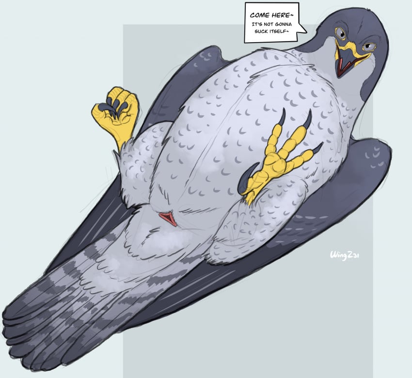 animal_genitalia avian beak bird cloaca falcon falconid feet feral genitals hi_res lying male on_back peregrine_falcon presenting solo speech_bubble talons toes wings wingz31