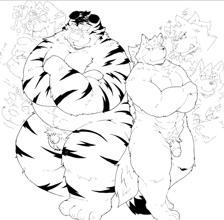 2023 anthro balls belly canid canine canis domestic_dog duo felid flaccid genitals hi_res kemono male male/male mammal moobs overweight overweight_male pantherine penis penis_size_difference pubes small_penis suishou0602 tiger