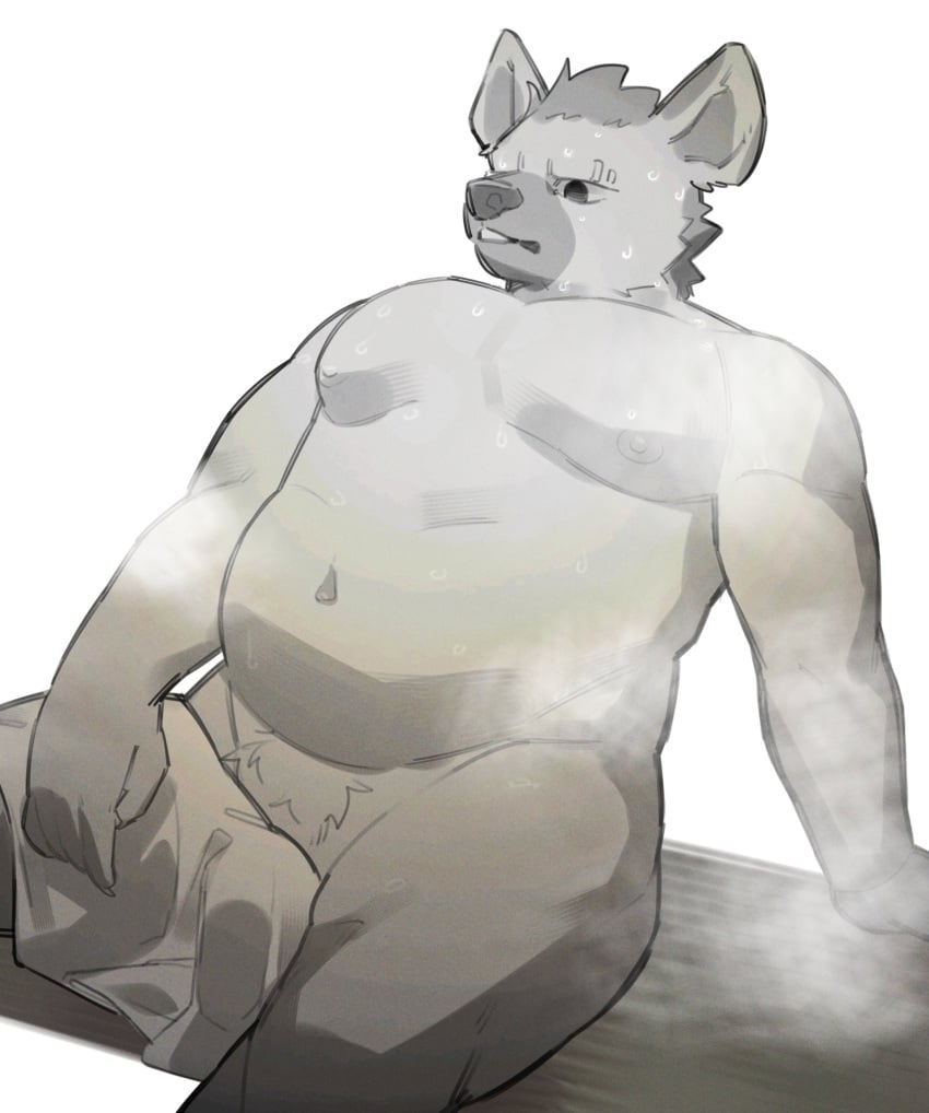 2023 anthro arknights bodily_fluids eyebrow_piercing facial_piercing fur grey_body grey_fur hair hi_res hyena hypergryph male mammal navel overweight overweight_anthro overweight_male piercing pluto08010511 pu94_d1de4c pubes sauna simple_background sitting solo spot_(arknights) spotted_hyena studio_montagne sweat towel