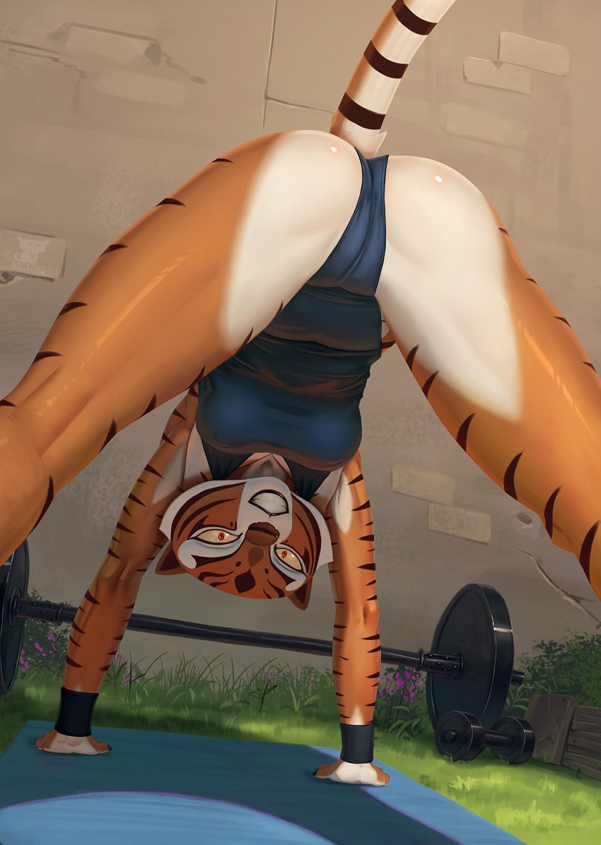 anthro ass background between_legs_view breasts cameltoe clothing dreamworks exercise facial_markings feline female furry grass hacatiko hi_res highres kung_fu_panda leotard looking_at_viewer master_tigress open_legs orange_fur smile solo tail tiger two_tone_fur weights wrist_wraps yellow_sclera yoga yoga_mat