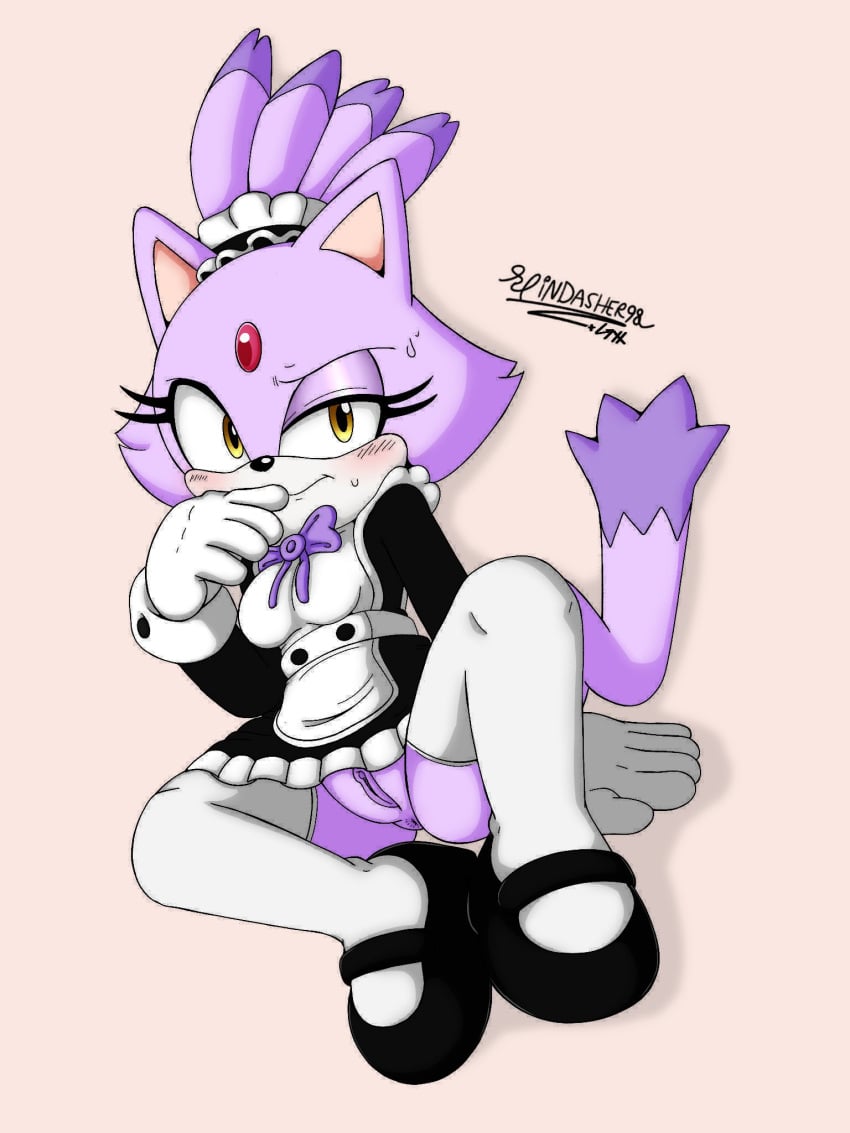 Blaze The Cat (Sega) Rule 34 Image