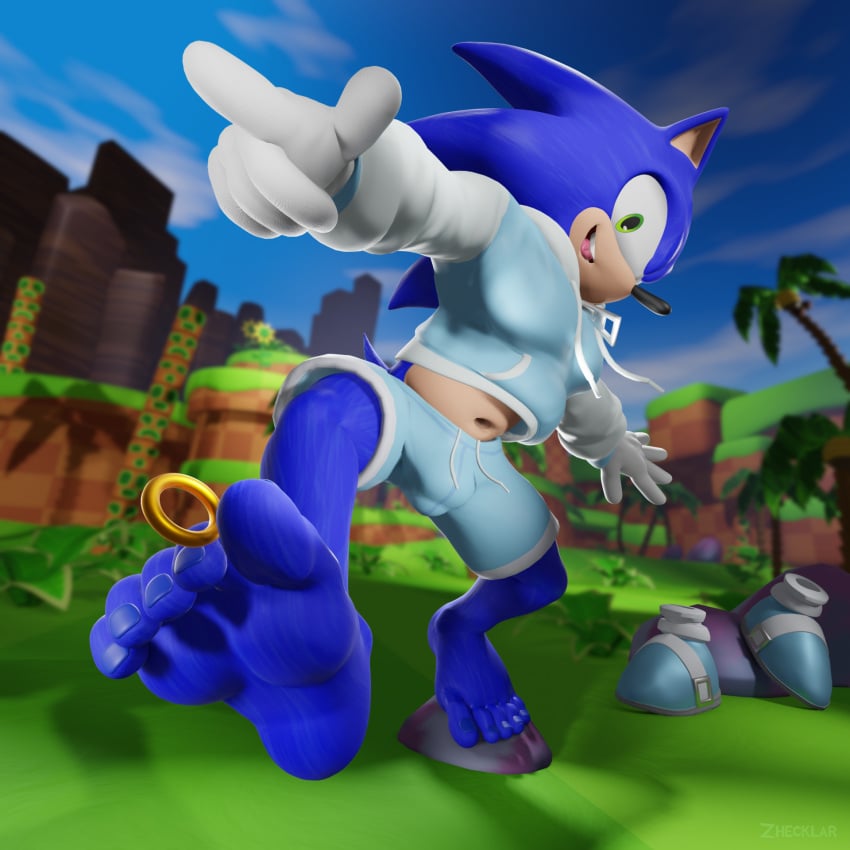 Sonic The Hedgehog (Sega) Rule 34 Image