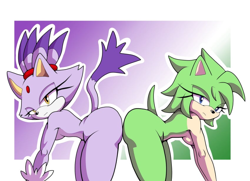 Blaze The Cat (Sonic (Series)) Rule 34 Image