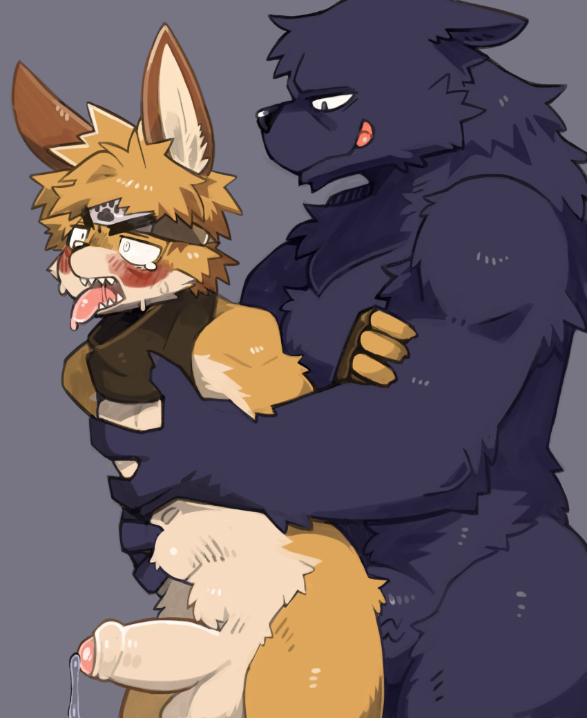 Nifram Logan Rule 34 Image