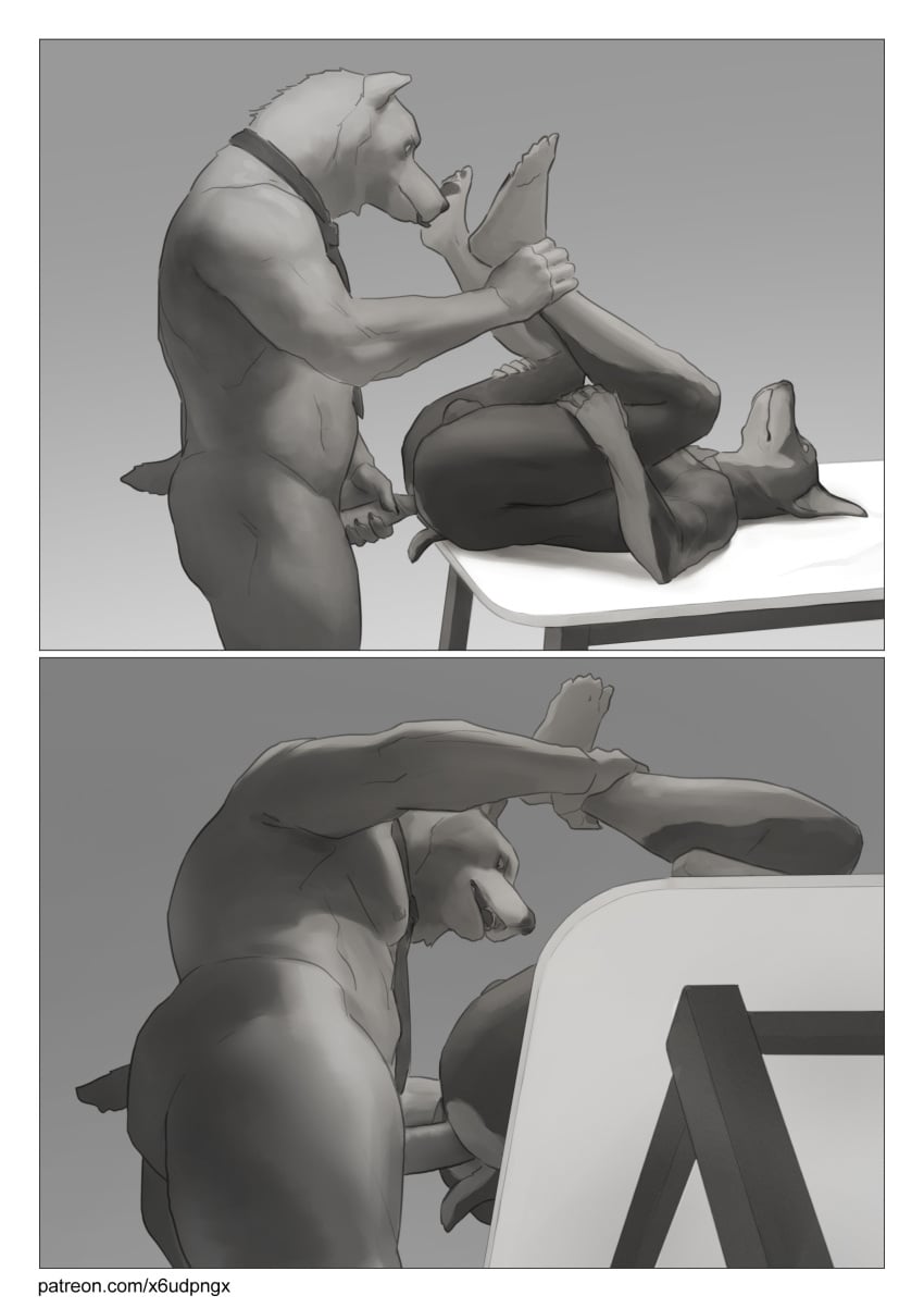 Patreon Rule 34 Image
