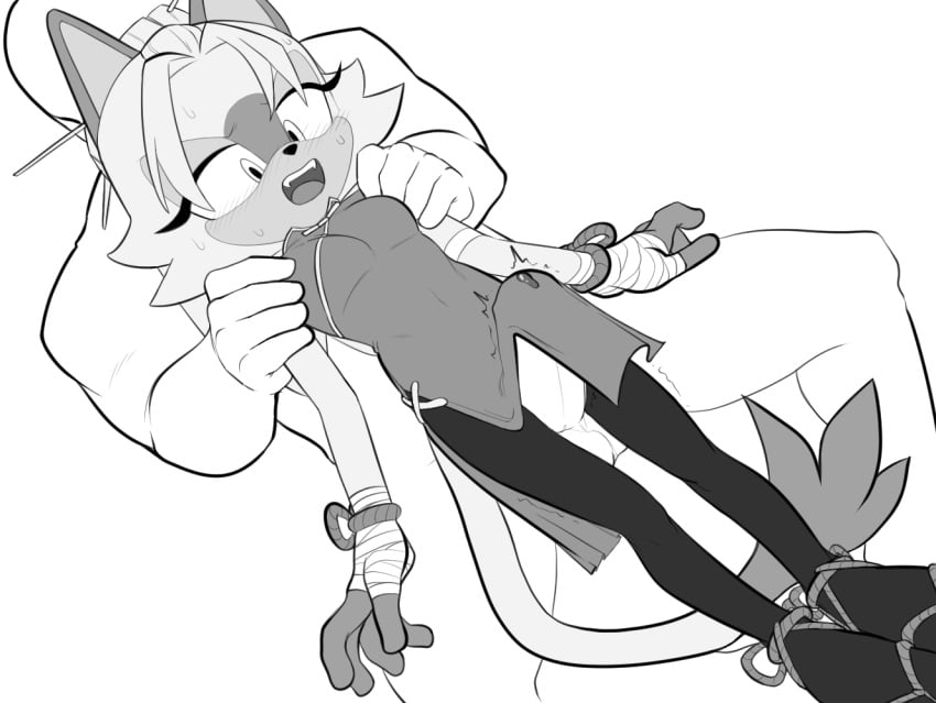 Fan Character (Sega) Rule 34 Image