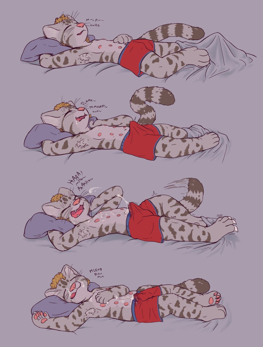 Boxers (Clothing) Rule 34 Image