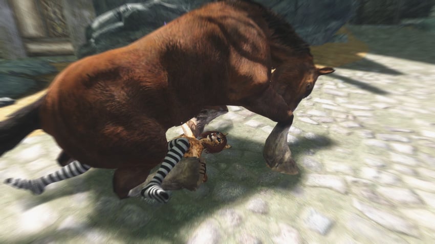 3d anthro discombobulation equine feline feral horse horsecock khajiit penis skyrim socks the_elder_scrolls video_games zoophilia