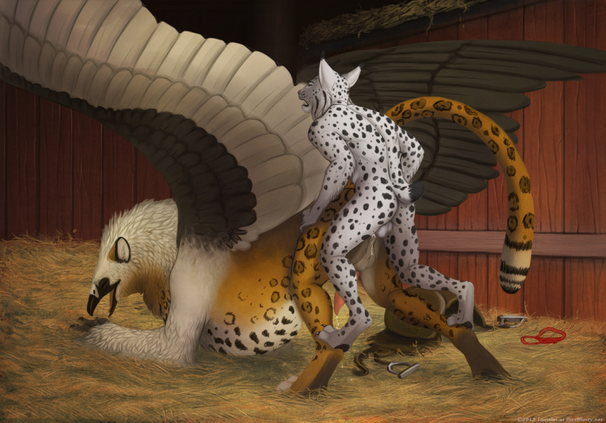 2013 anal anal_sex anthro anthro_on_feral ass avian back_view balls barn beak bearded_vulture bird closed_eyes cum cum_inside cum_leaking cum_on_ass cumshot digitigrade erection feline feral from_behind fystilago gryphon hay hybrid interspecies jaguar leaning leaning_forward leg_grab looking_pleasured lunalei lynx male mammal mount nude on_top open_mouth orgasm penetration penis rider/mount_relations saddle size_difference small_dom_big_sub spots synx_the_lynx tongue vulture wings yaoi zoophilia