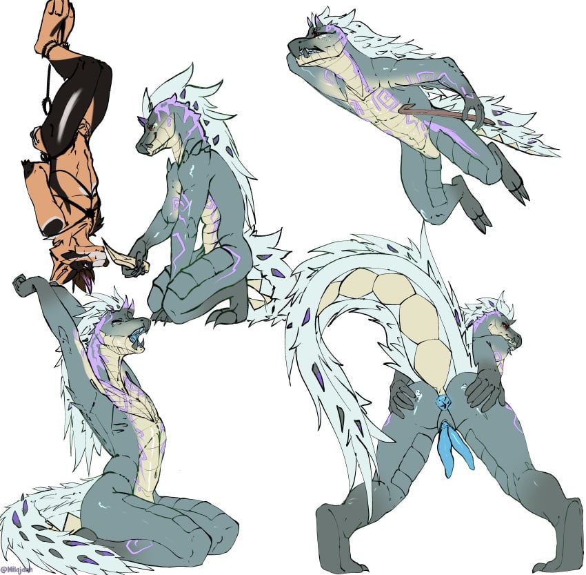 Tobi-Kadachi (Capcom) Rule 34 Image