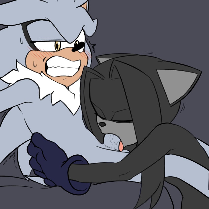 Silver The Hedgehog (Sega) Rule 34 Image