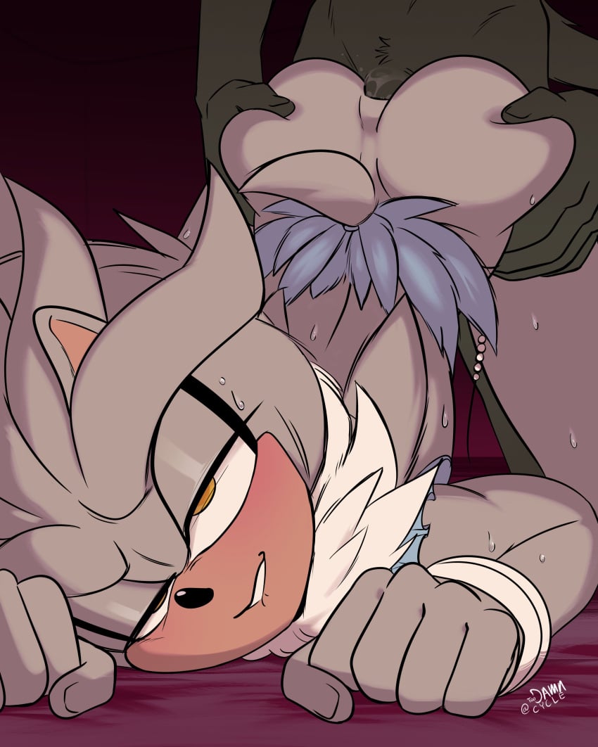 Silver The Hedgehog (Sega) Rule 34 Image