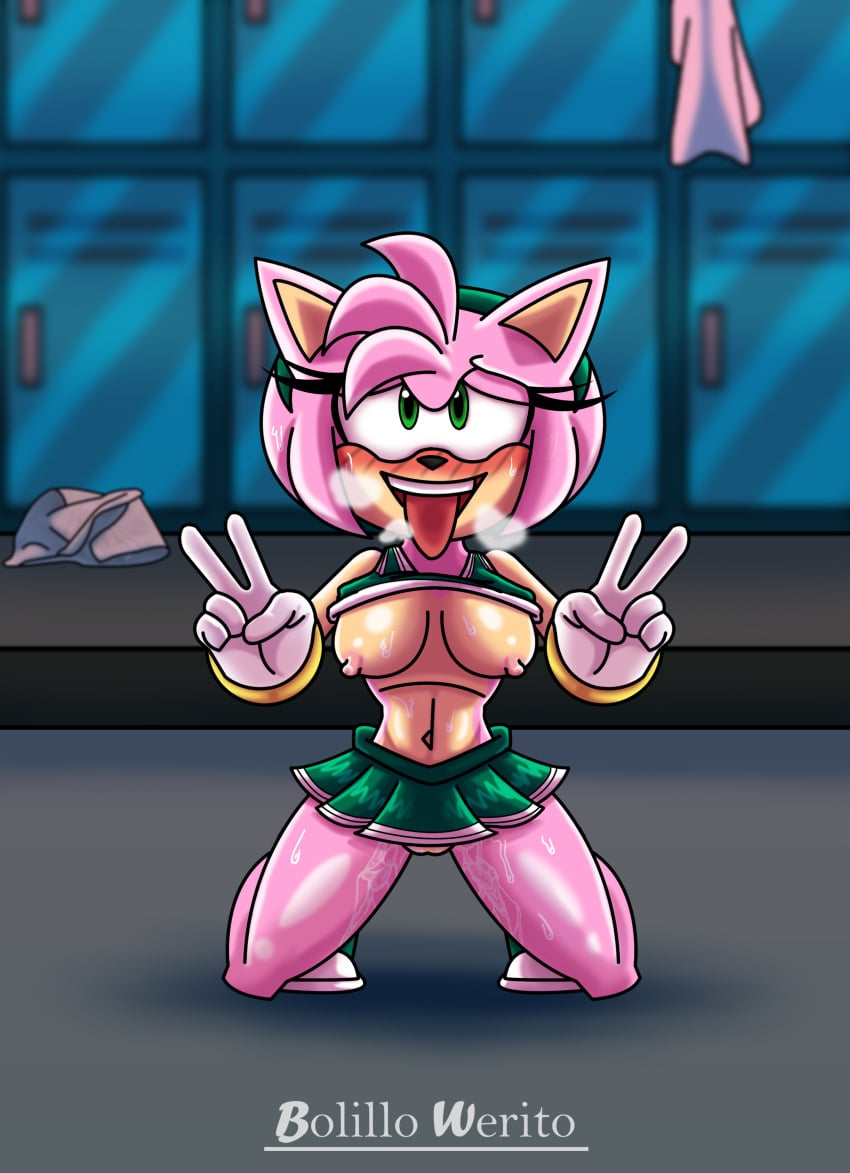 Amy Rose (Sega) Rule 34 Image