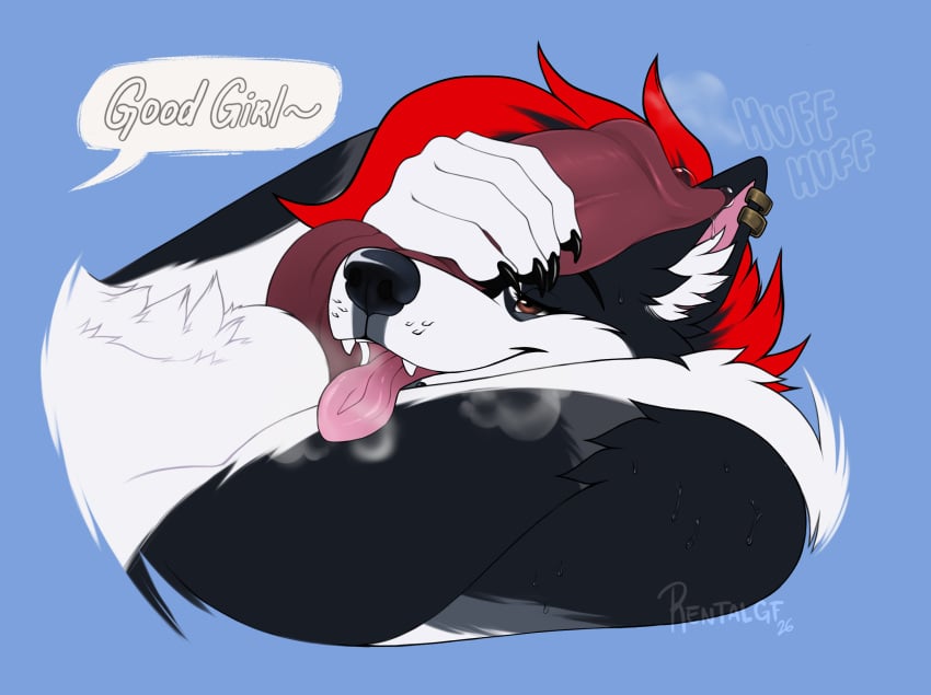 Sebastian The Husky Rule 34 Image