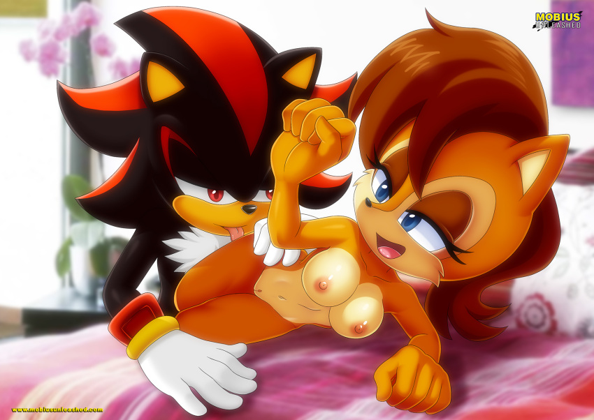 anthro bbmbbf breasts female male male/female mobius_unleashed nipples nude open_mouth palcomix pussy sally_acorn sega shadow_the_hedgehog sonic_(series) sonic_the_hedgehog_(series) tongue tongue_out