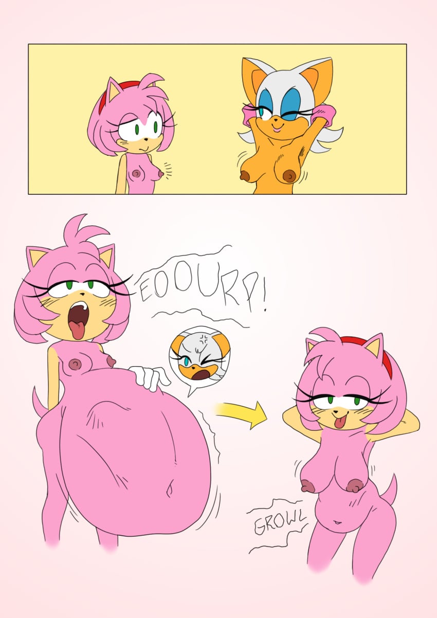 Amy Rose (Sonic (Series)) Rule 34 Image