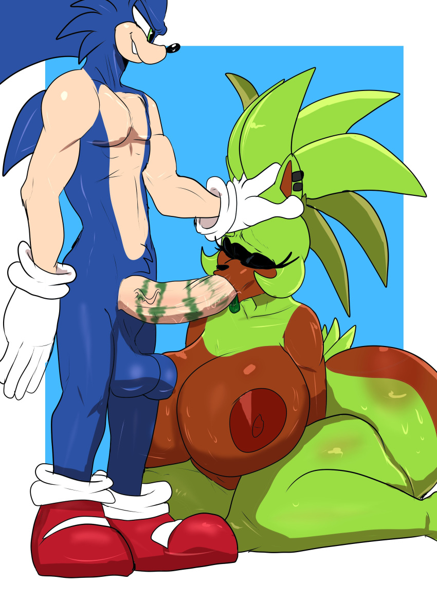 Sonic (Series) Rule 34 Image
