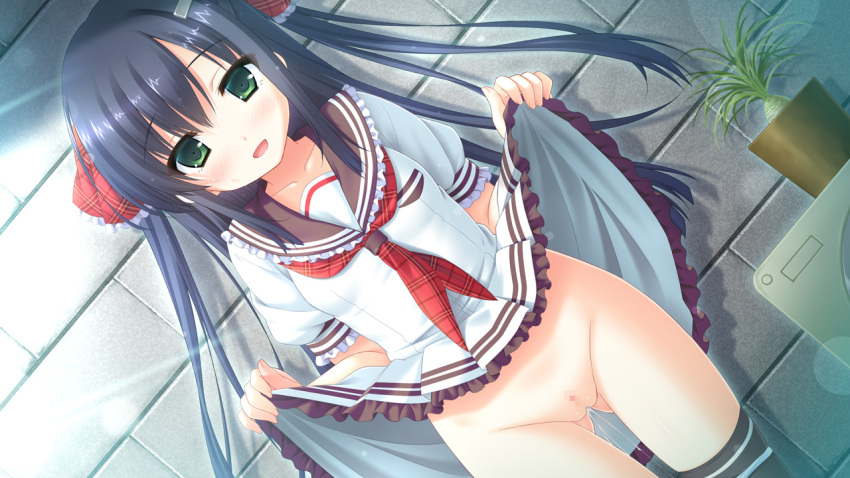 black_hair blush censored clothing exhibitionism galette game_cg happy hisama_kumako imoo_tsugumi k-ko long_hair no_panties onii-chan_migite_no_shiyou_wo_kinshi_shimasu! plant pussy_juice school_uniform skirt_lift smile thighhighs tied_hair twintails