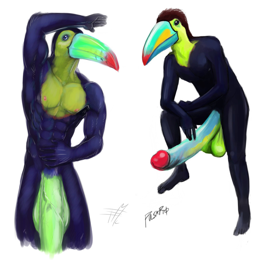 1boy ass avian balls beak big_penis bird erection falcon_mccooper hyper male male_only penis pulsar solo toucan underwear