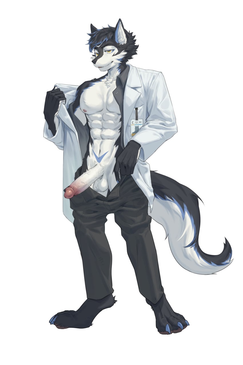 abs absurd_res anthro archermagnum arm_support barazoku black_body black_bottomwear black_clothing black_fur black_gloves black_handwear black_pants blue_claws blue_hair bottomwear briefs bulge canid canine canis claws clothing coat fluffy fluffy_tail fur genitals gloves grey_body grey_fur hair hand_on_own_chest handpaw handwear hi_res humanoid_genitalia humanoid_penis id_card lab_coat looking_at_viewer male male_focus mammal multicolored_body multicolored_fur muscular muscular_anthro muscular_male navel nipples open_lab_coat pants pants_around_thighs pawpads paws pecs penis simple_background smile smirk smug solo tail thunderrangers topwear underwear whgui182897 white_background white_body white_fur white_lab_coat wolf yellow_eyes