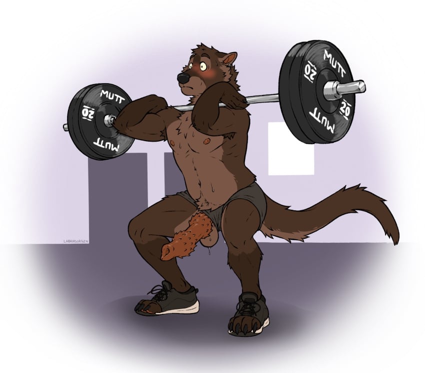 2025 anatomically_correct anatomically_correct_genitalia anatomically_correct_penis animal_genitalia animal_penis anthro armpit_hair athletic athletic_anthro athletic_male balls barbell blush bodily_fluids body_hair brown_body brown_fur clothed clothing countershade_balls countershade_crotch countershade_face countershade_genitalia countershade_neck countershade_tail countershade_torso countershading ear_piercing ear_ring erection euplerid footwear fossa fossa_penis fur furgonomic_footwear furgonomics genitals hi_res knot knotted_penis labradorszn male male_anthro male_only mammal nipples penile_spines penis piercing ring_piercing shoes shorts_only slightly_chubby slightly_chubby_anthro slightly_chubby_male solo sweat tail topless wardrobe_malfunction