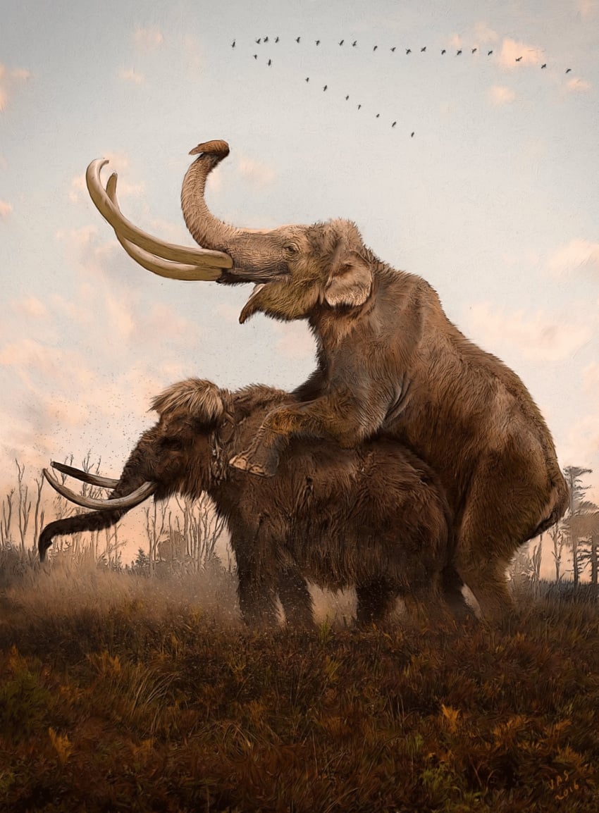 2016 ambiguous_gender avian bird brown_body brown_fur cloud columbian_mammoth detailed_background doggy_style elephantid female feral from_behind_position fur grass group hi_res interspecies male male/female mammal mammoth morning open_mouth outside outside_sex painting_(artwork) plant prehistoric_species proboscidean proboscis_(anatomy) realistic realistic_feral sex tree trunk_(anatomy) tusks velizar_simeonovski woolly_mammoth