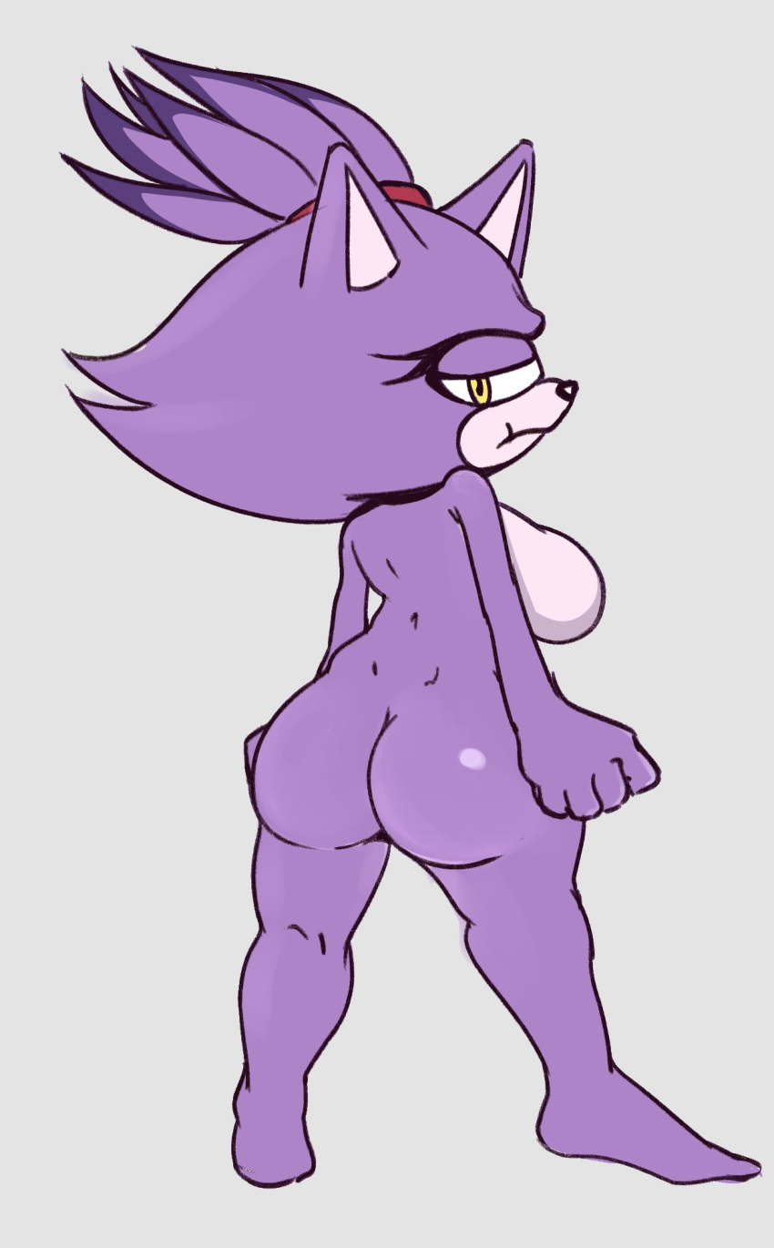 Blaze The Cat (Sega) Rule 34 Image