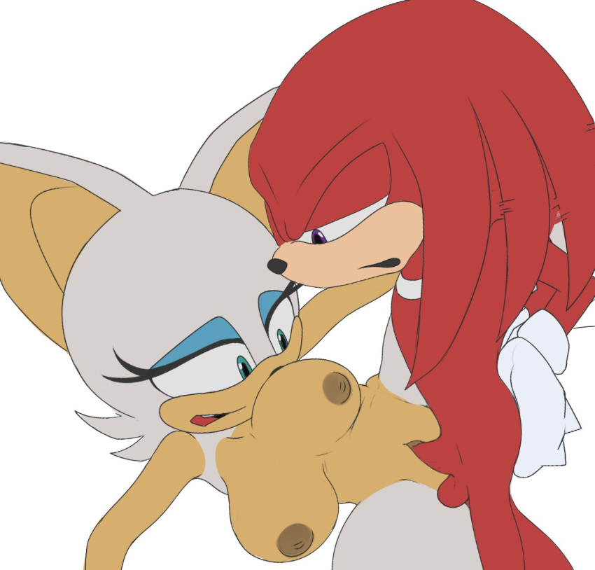 Sonic (Series) Rule 34 Image