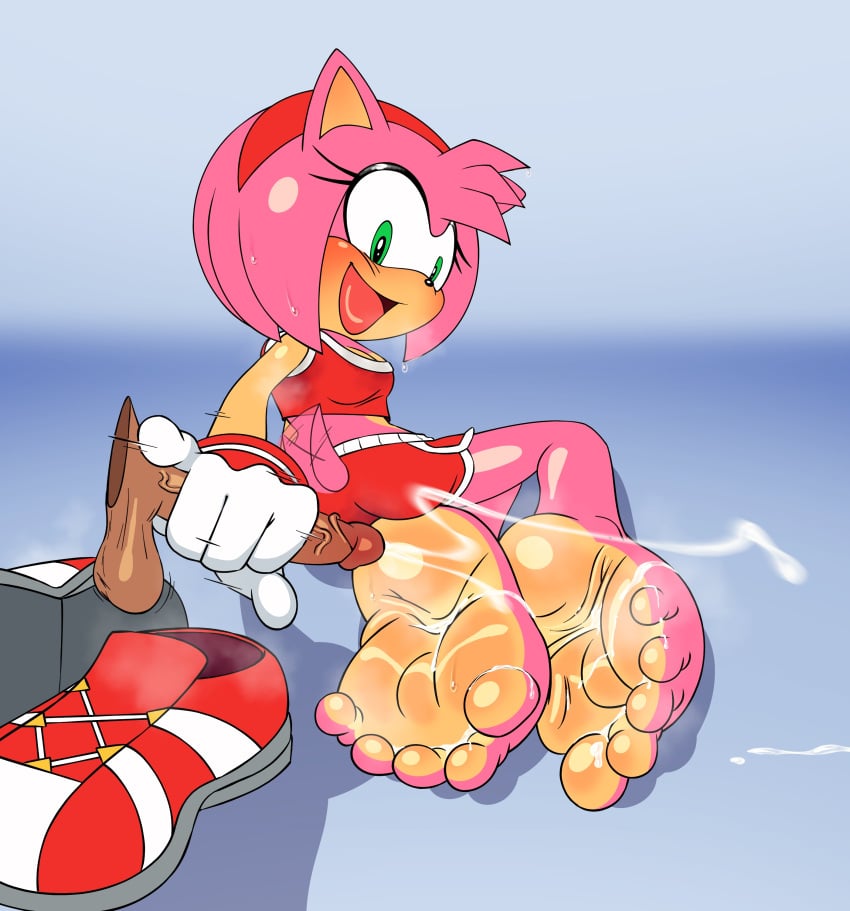 Amy Rose (Sega) Rule 34 Image