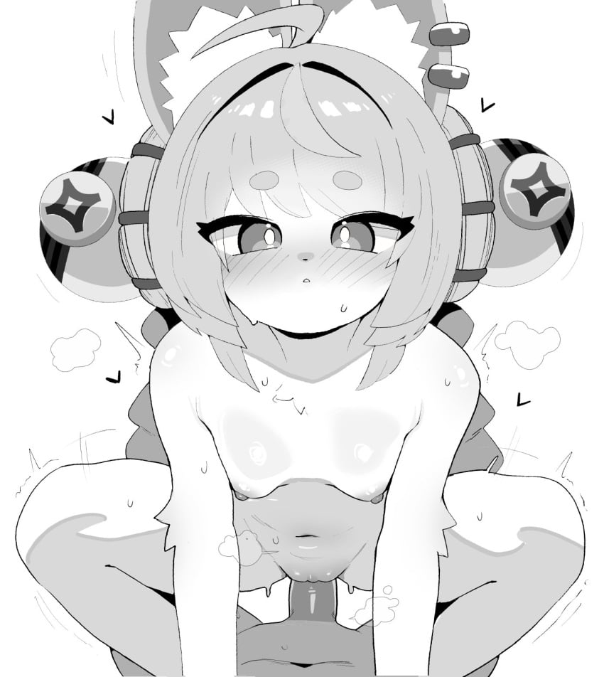 Zhao (Zenless Zone Zero) Rule 34 Image