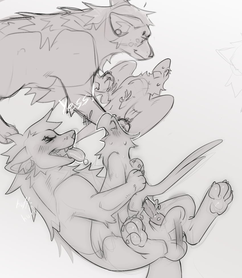 Animal Genitalia Rule 34 Image