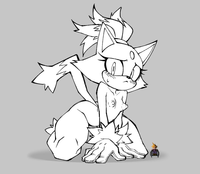 Sonic The Hedgehog (Series) Rule 34 Image