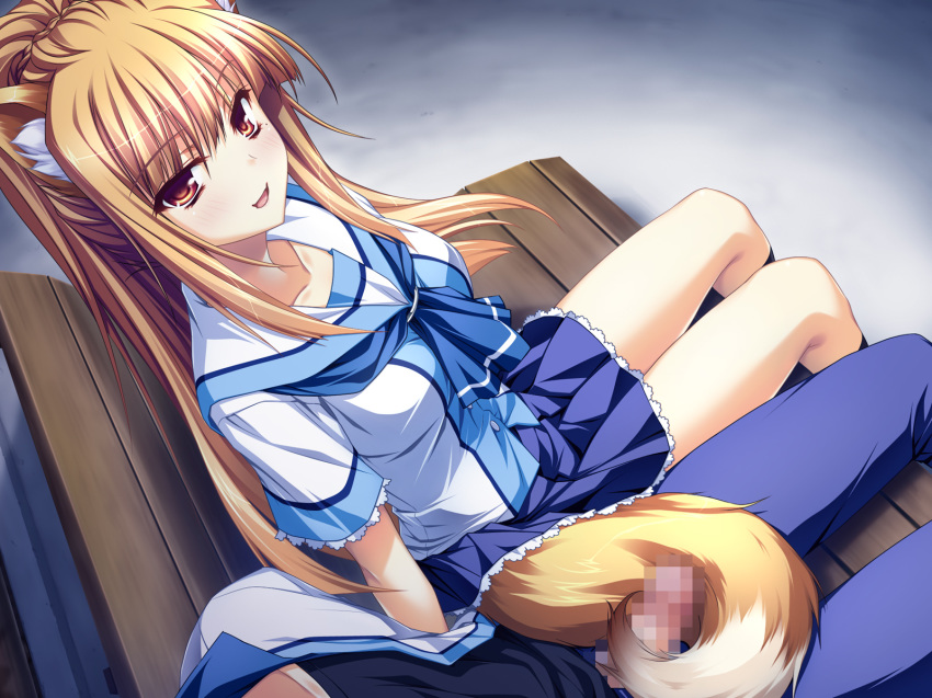 animal_ears bench blonde_hair censored fox_ears fox_tail fur game_cg highres miyama_kon mole mosaic mosaic_censoring official_art orange_eyes orange_hair otomimi_infinity penis red_eyes sitting skirt tail tailjob yasaka_minato