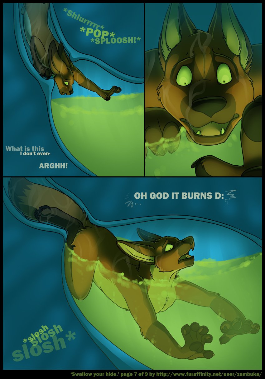 acid balls canine comic english_text fox green_eyes male micro nude open_mouth penis sheath size_difference stomach swallow_your_hide swallowing text vore wolf zambuka