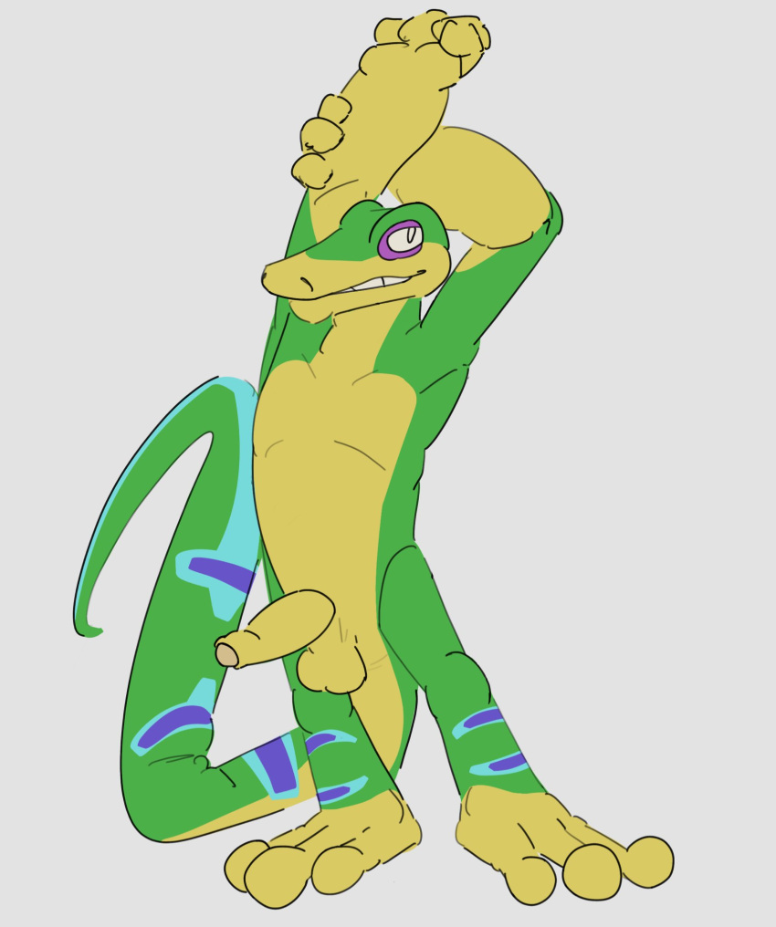 2020s 2022 anthro anthro_focus anthro_only anthro_solo arms_up completely_nude completely_nude_male digital_drawing_(artwork) digital_media_(artwork) erect_penis erection furry furry_male furry_only gecko gecko_humanoid geniou gex_(series) gex_the_gecko humanoid_genitalia humanoid_penis lizard long_tail male male_only nude nude_male reptile reptile_humanoid simple_background smile smiley_face smiling solo solo_anthro solo_focus solo_in_panel solo_male tail video_games