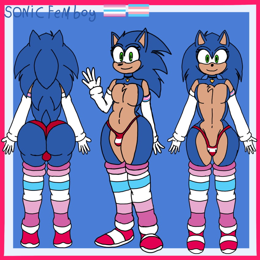 Original Character (Sonic (Series)) Rule 34 Image