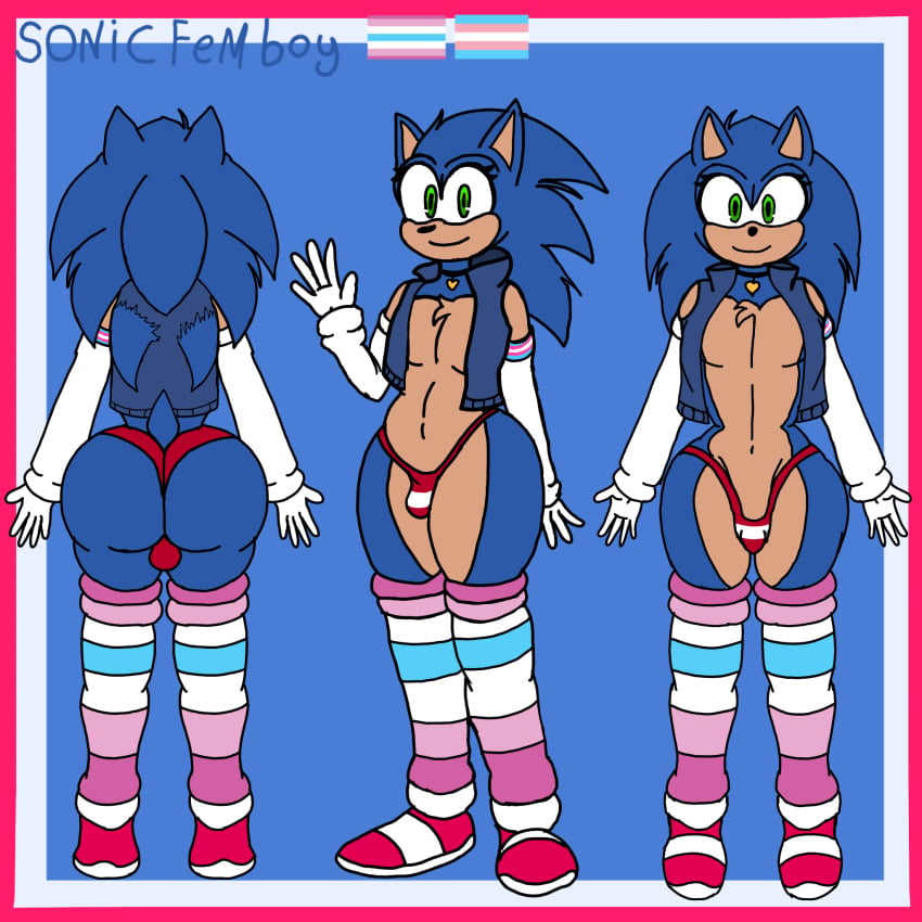 Original Character (Sonic (Series)) Rule 34 Image