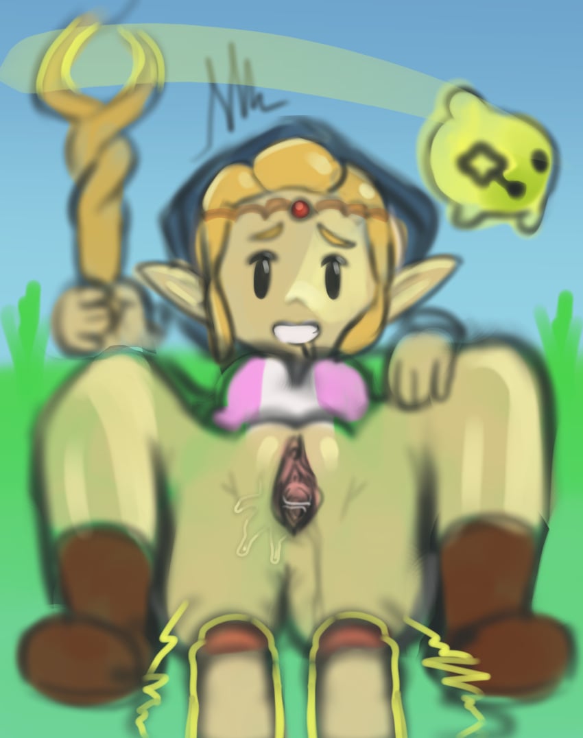 blonde_hair echoes_of_wisdom first_porn_of_character first_porn_of_game hornygami nintendo princess_zelda spread_legs tagme the_legend_of_zelda tri_(zelda) tri_rod zelda_(echoes_of_wisdom)