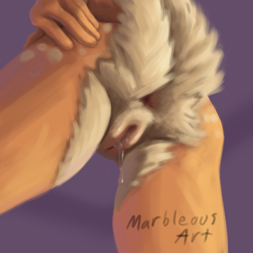 1:1 2024 anthro anus artist_name ass bodily_fluids butt_focus countershade_butt countershade_tail countershading deer deltarune digital_media_(artwork) dripping female fluffy fluffy_tail fur genital_fluids genitals hand_on_butt hi_res low-angle_view mammal marbleous markings new_world_deer noelle_holiday pussy pussy_juice_drip reindeer scut_tail short_tail simple_background solo spots spotted_body spotted_fur tail tan_body tan_fur undertale_(series) vaginal_fluids white_body white_countershading