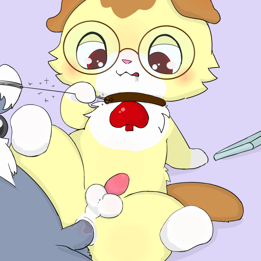 alex_(jewelpet) anal anal_sex anthro collar dian_(jewelpet) domestic_cat drugolld duo felid feline felis feral fur gay genitals grey_body grey_fur hi_res jewelpet jewelpet_(series) jewelpet_(species) male male/male mammal penetration penile penile_penetration penis penis_in_ass sanrio sega sega_fave sega_toys string yaoi yellow_body yellow_fur