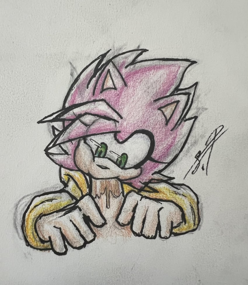 amy_rose blowjob color sonic_(series) sonic_the_hedgehog_(series) tastefulanatomy traditional_art