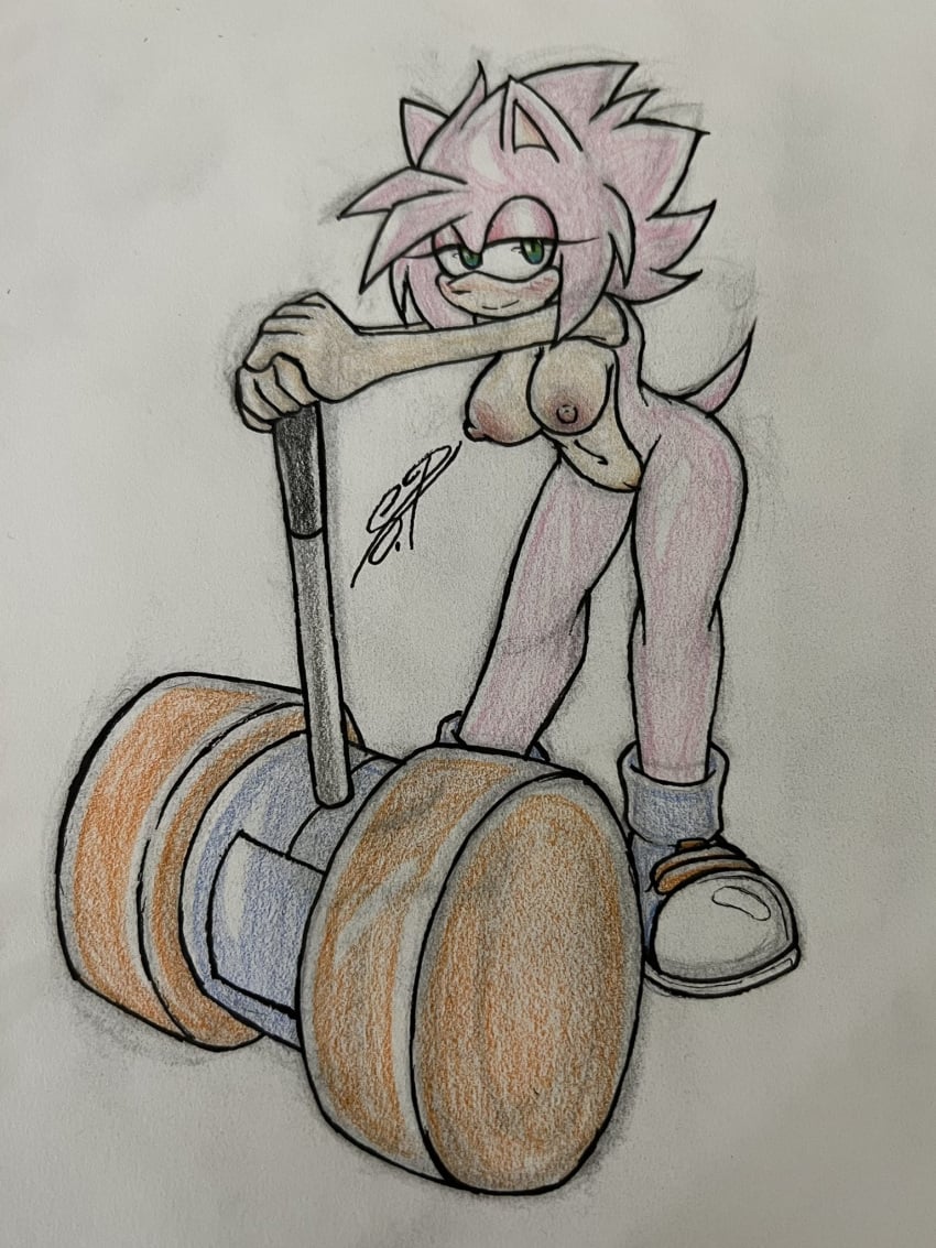 amy_rose breasts nude piko_piko_hammer sonic_(series) sonic_the_hedgehog_(series) tastefulanatomy traditional_art