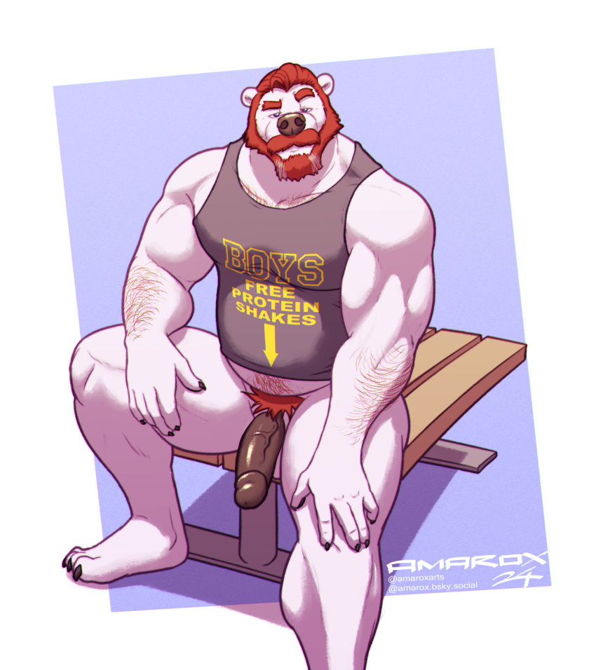 amarox anthro arm_hair bear bench body_hair bottomless clothed clothing digital_drawing_(artwork) digital_media_(artwork) eyebrows genitals hair half-erect hi_res looking_at_viewer looking_up male mammal musclegut muscular on_bench penis polar_bear pubes pubes_exposed raised_eyebrow red_hair rodric_(amarox) shirt sitting sitting_on_bench solo tank_top topwear ursine