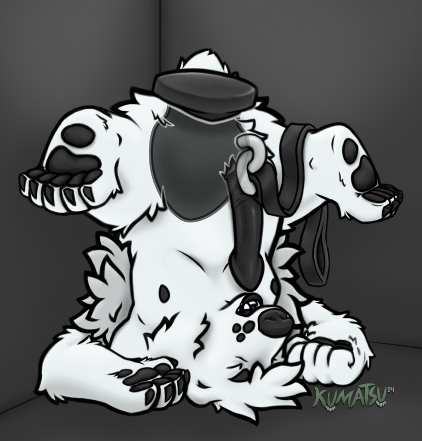 Plug (Sex Toy) Rule 34 Image