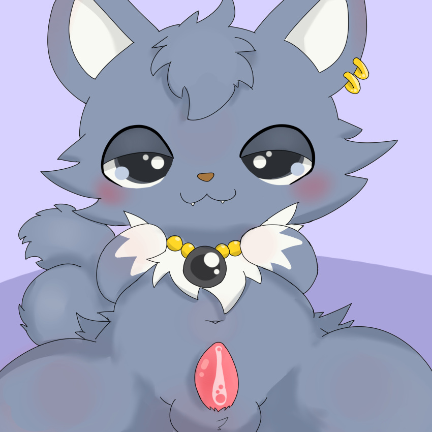 anthro dian_(jewelpet) domestic_cat drugolld felid feline felis feral fur genitals grey_body grey_fur hi_res jewelpet jewelpet_(series) jewelpet_(species) male mammal penis sanrio sega sega_fave sega_toys solo young