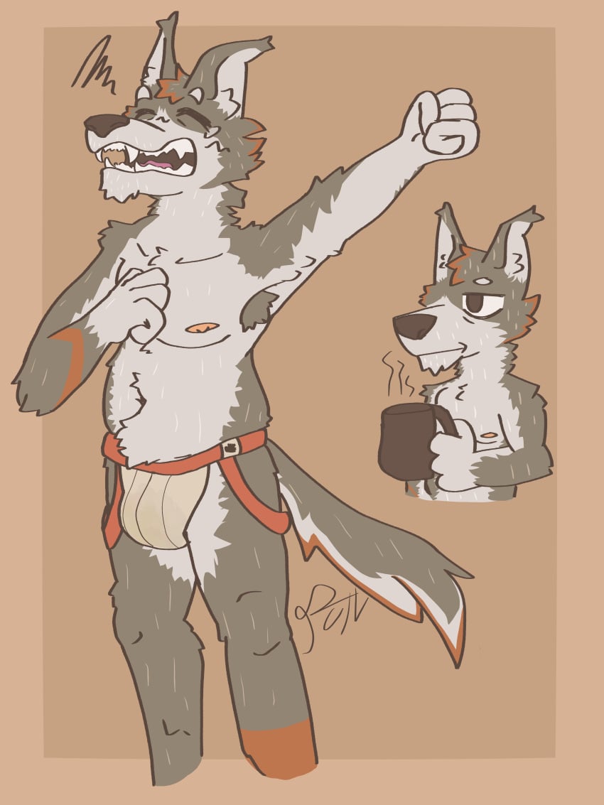 anthro armpit_hair brown_fur bulge canid canine canis chubby coyote drinking furry furry_only gay jockstrap male nipples older_male orange_markings orange_nipples underwear white_fur yawning
